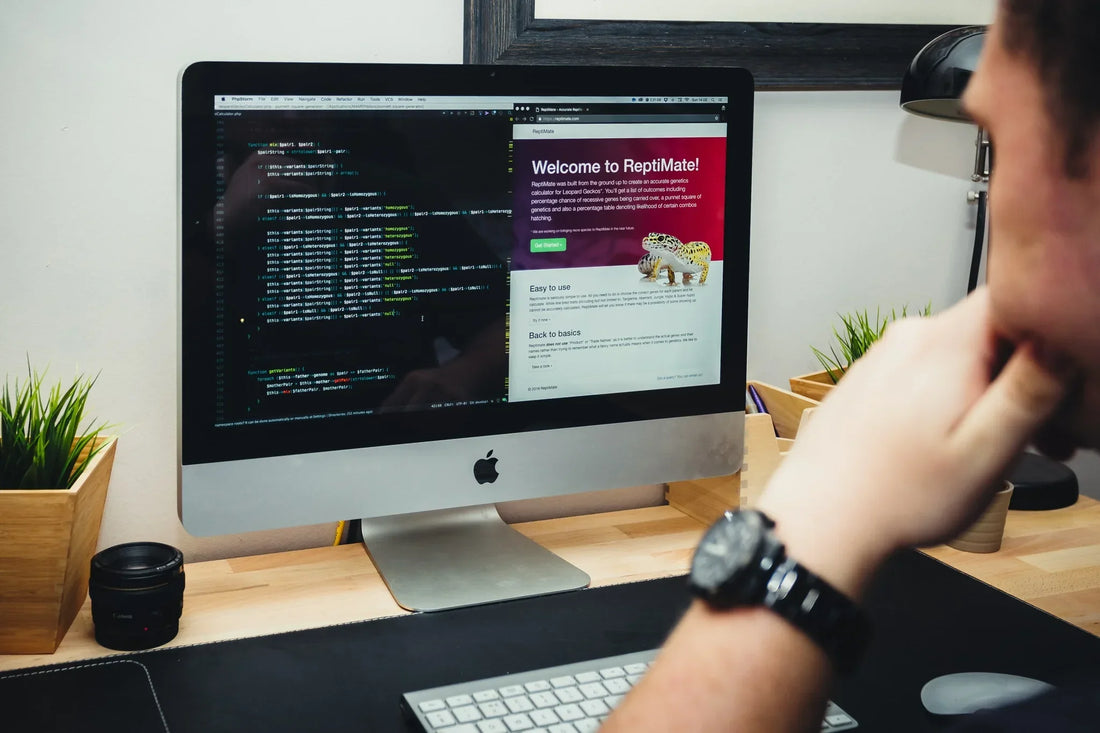 hire shopify developer