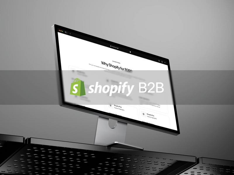  Shopify B2B 