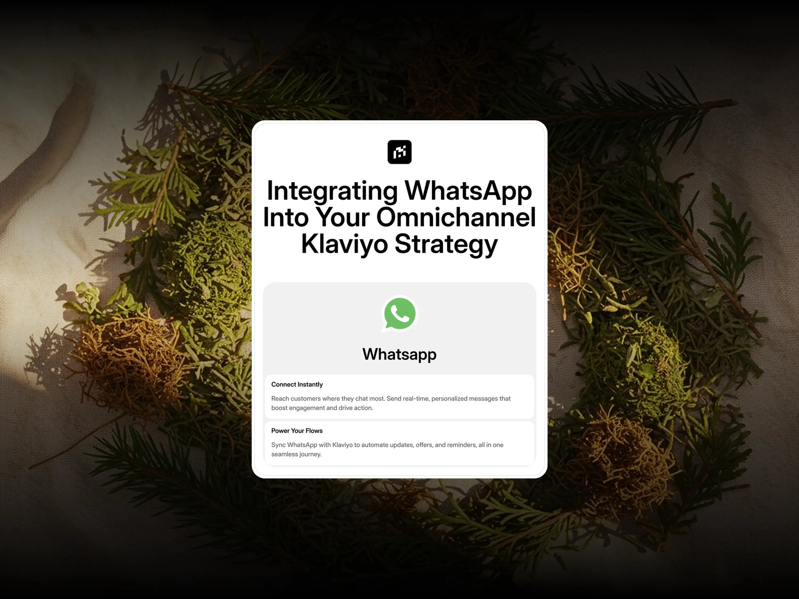 WhatsApp Marketing